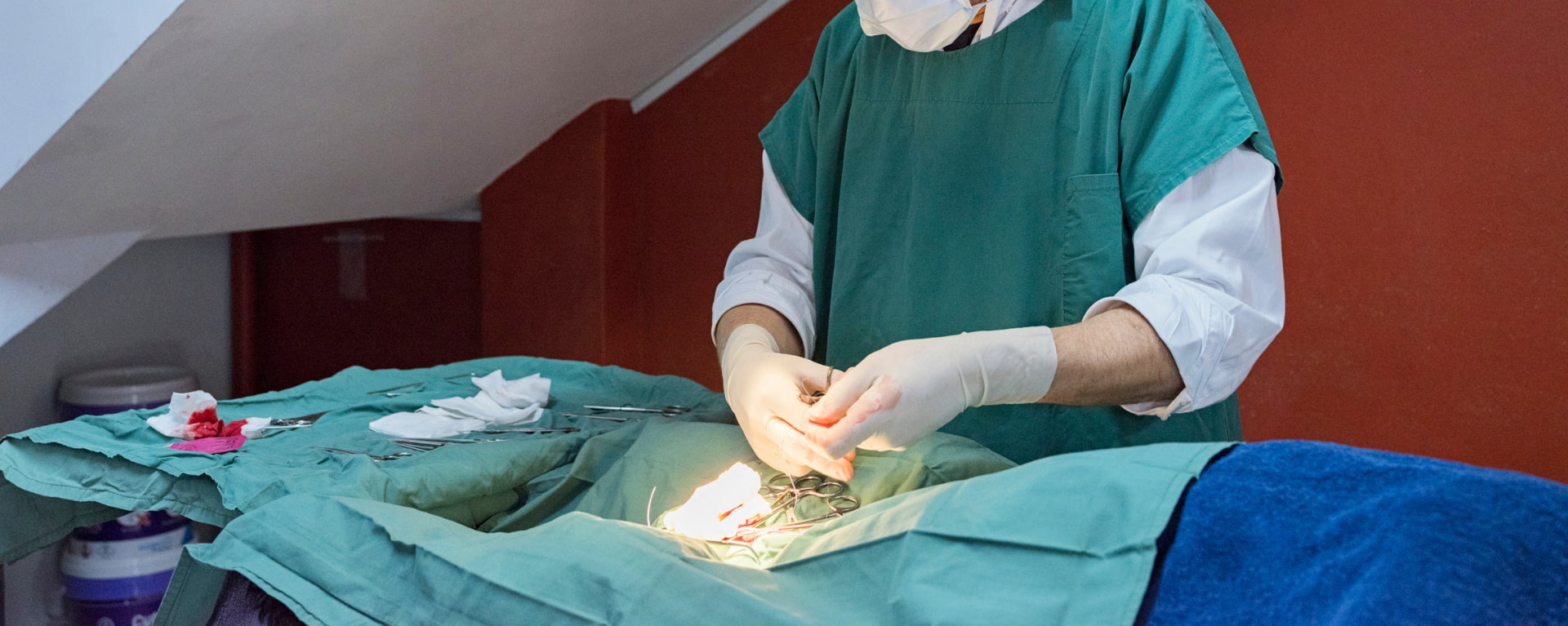 Vetaround Pet Endoscopy slider VETAROUND