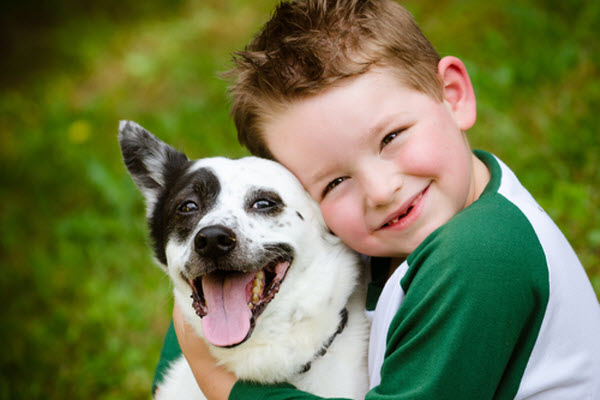 The charming boy and his cute dog